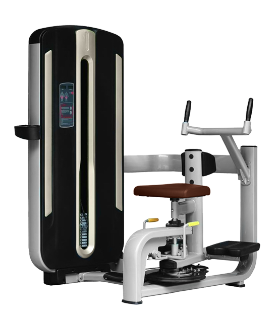BRONZE GYM MNM-011 Торс-машина – фото