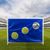Ворота игровые DFC GOAL150T 150x110x60cm с тентом для отрабатывания ударов – фото