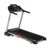Беговая дорожка DFC SPARKY Pro T635 – фото