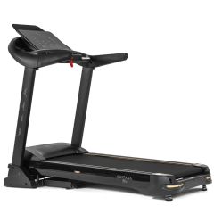 Беговая дорожка DFC SANTANA Pro T757 – фото