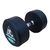 Гантели DFC POWERGYM, 2 шт. по 30 кг – фото