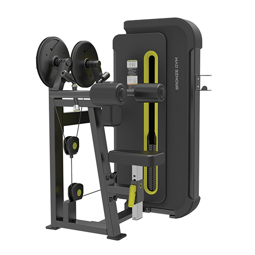 BRONZE GYM BW-3005 Дельта-машина – фото