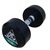 Гантели DFC POWERGYM, 2 шт. по 10 кг – фото