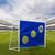 Ворота игровые DFC GOAL150T 150x110x60cm с тентом для отрабатывания ударов – фото