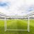 Ворота игровые DFC GOAL120T 120x80x55cm с тентом для отрабатывания ударов – фото