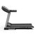 Беговая дорожка DFC WALKER EVO PRO для реабилитации T-S1 PRO – фото