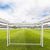 Ворота игровые DFC GOAL120 120x80x55cm – фото
