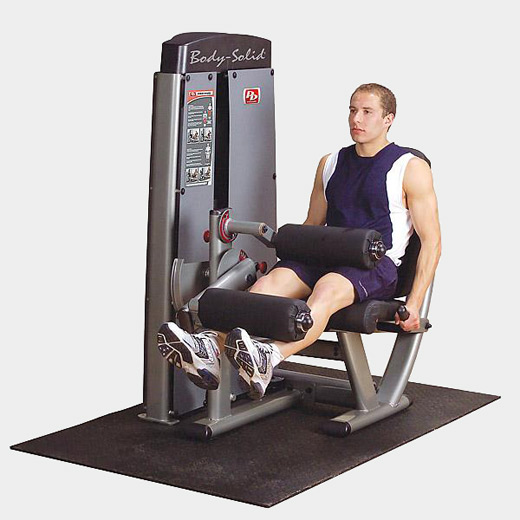 Сгибание-разгибание ног Body Solid ProDual DLEC-SF – фото