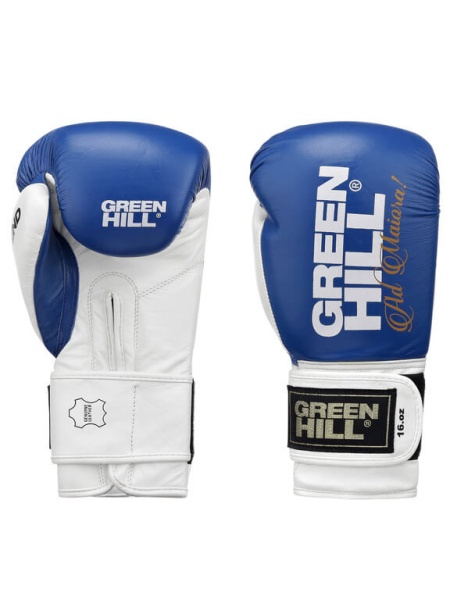Боксерские перчатки Green Hill LEGEND BGL-2246, тренировочные, сине-белый – фото