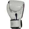 Боксерские перчатки Fairtex BGV24 Beauty of Survival, в подарочной упаковке – фото