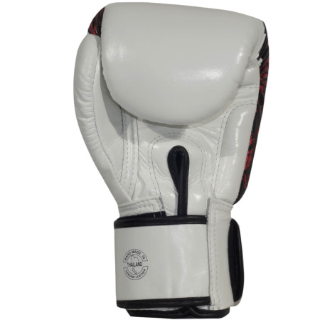 Боксерские перчатки Fairtex BGV24 Beauty of Survival, в подарочной упаковке – фото