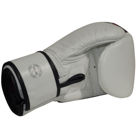 Боксерские перчатки Fairtex BGV24 Beauty of Survival, в подарочной упаковке – фото