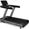 Беговая дорожка BRONZE GYM T930M PRO, электрическая, для зала – фото