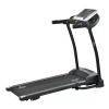 Беговая дорожка ROYAL Fitness RF-7, электрическая, домашняя – фото