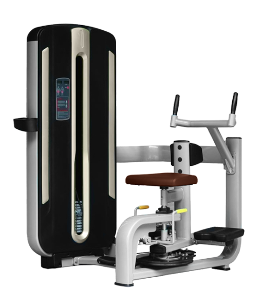 BRONZE GYM MNM-011 Торс-машина – фото