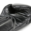 Боксерские перчатки Fairtex BGVG2 BLACK VELCRO, для соревнований, чёрный – фото