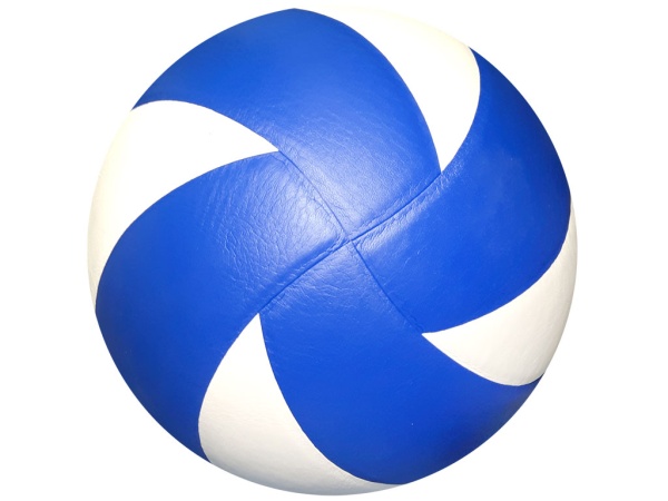 Волейбольный мяч VS1003, полиуретан, 5" – фото