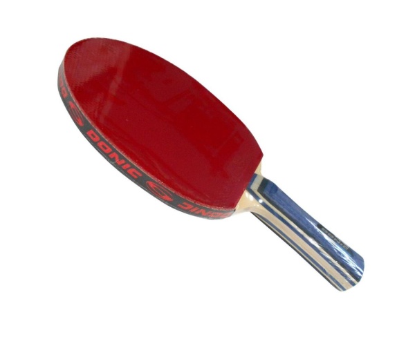 Ракетка для настольного тенниса DONIC Testra Light – фото