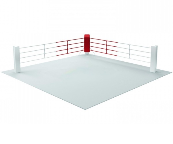 Имитация боксерского ринга – фото
