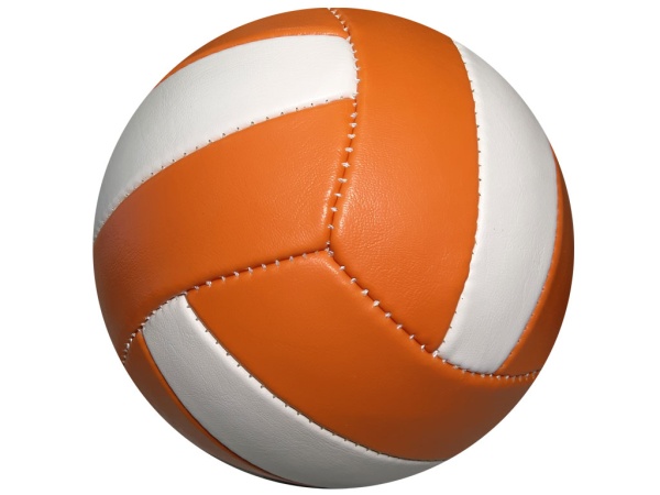 Мяч волейбольный «Великий Устюг», эко-кожа, 5" – фото