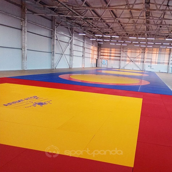 Борцовский ковер SportPanda 10х10 метров, трехцветный – фото