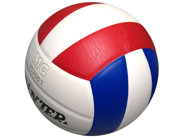 Волейбольный мяч VS3001, полиуретан, 5" – фото