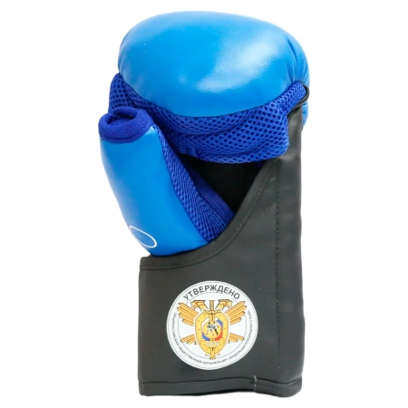 Перчатки для рукопашного боя Rusco Sport PRO, синий – фото