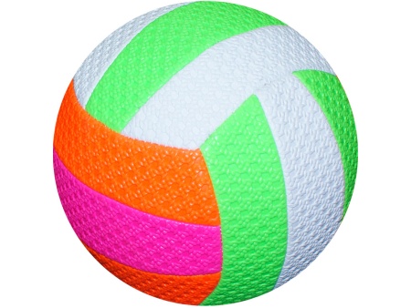 Мяч волейбольный ВА-5МН ОР+ – фото
