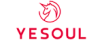 Товары бренда YESOUL 2022-2023
