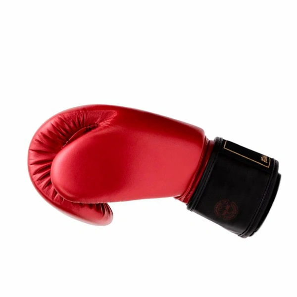 Боксерские перчатки Fairtex BGV Premium Gold Jubilee, в подарочной упаковке – фото