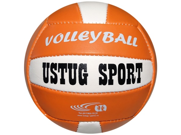 Мяч волейбольный «Великий Устюг», эко-кожа, 5" – фото