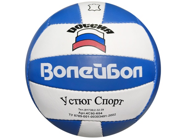 Мяч волейбольный «Великий Устюг», натуральная кожа, 5" – фото