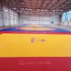 Борцовский ковер SportPanda 12х12 метров, трехцветный – фото