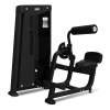 BRONZE GYM NEO 31 Разгибание спины – фото