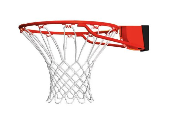 Баскетбольное кольцо в сборе Spalding Pro Slam Rim арт 7888SPCN_Eur – фото