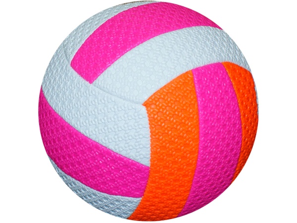 Мяч волейбольный ВА-5МН Б+ – фото