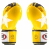 Боксерские перчатки Fairtex BGV1 Nation Print, тренировочные, жёлтый – фото