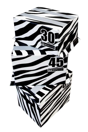 Плиобоксы SportPanda, комплект 3 шт. зебра – фото