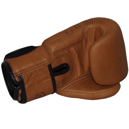 Боксерские перчатки Fairtex BGV21 LEGACY, в подарочной упаковке – фото