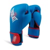Детские боксерские перчатки Everlast Prospect, тренировочные, синий – фото