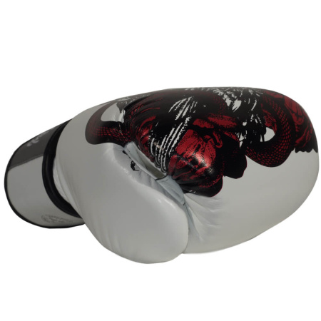 Боксерские перчатки Fairtex BGV24 Beauty of Survival, в подарочной упаковке – фото